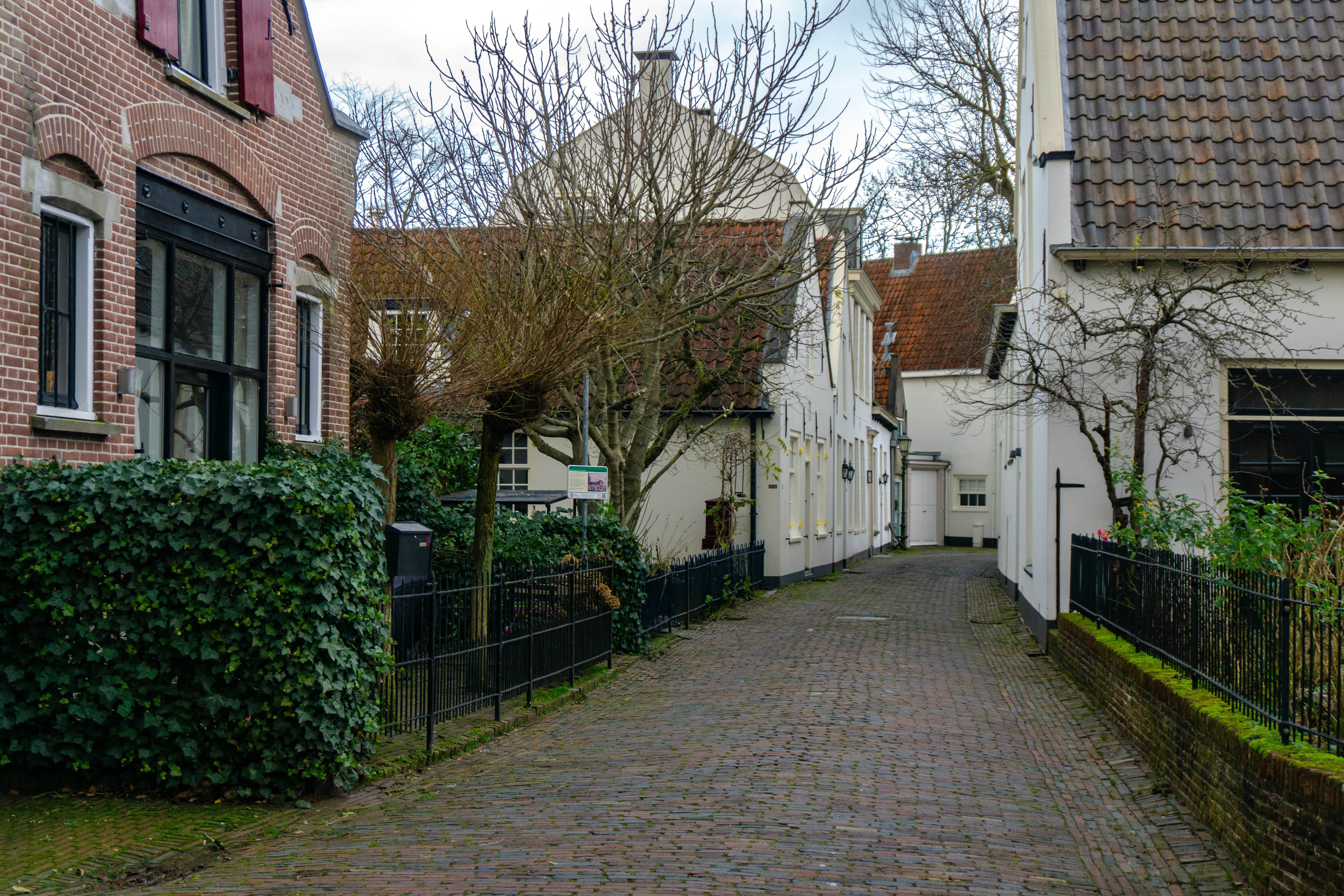 Rivermeade Court